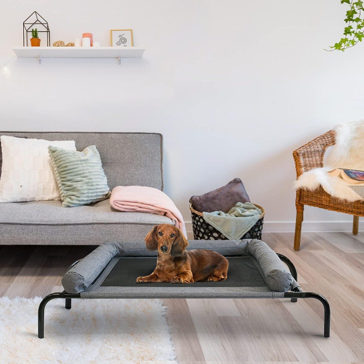 PETIME Raised Dog Beds